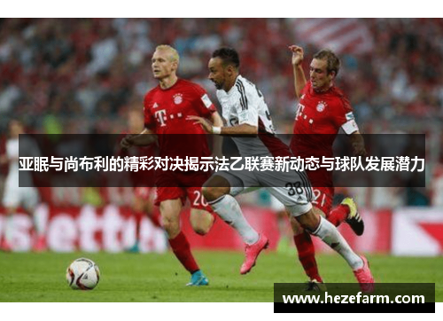 亚眠与尚布利的精彩对决揭示法乙联赛新动态与球队发展潜力